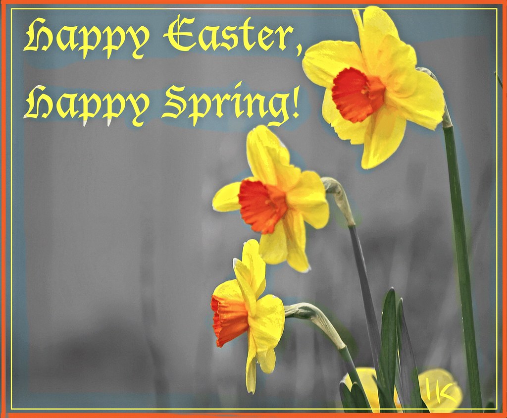 Happy Easter, Happy Spring, Happy Passover Spring is on it??? Flickr