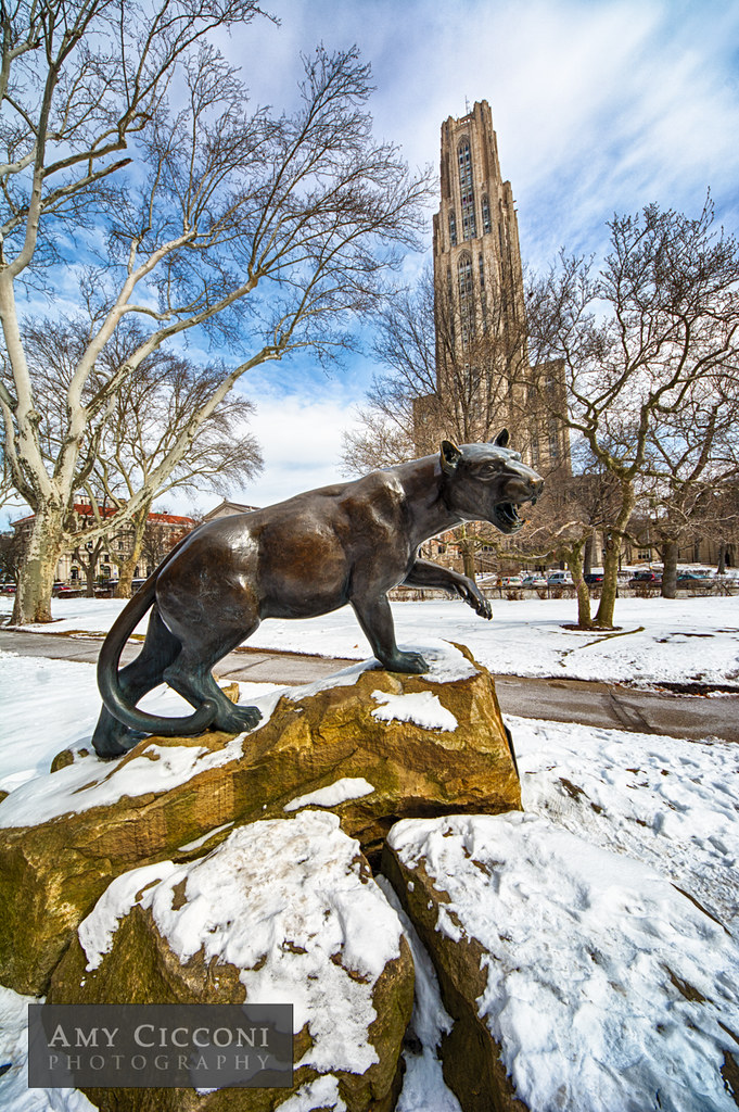 Panther Statue, University of Pittsburgh The panther statu… Flickr