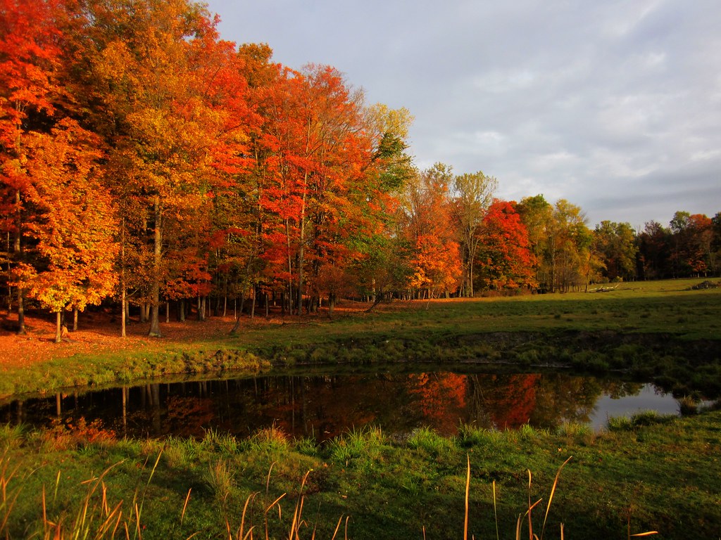 IMG_8874 St. Armand, Quebec in the Fall shelley Flickr