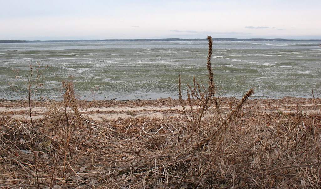Lake Mendota still has a lot of ice on it. Monique Flickr
