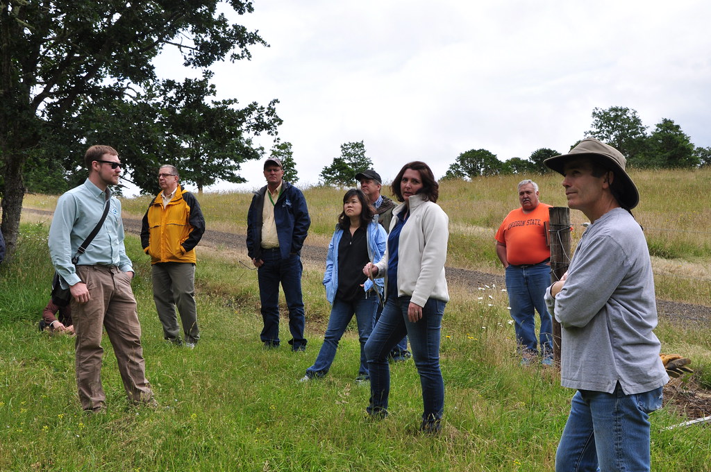 Yamhill County Rancher Restores Native Oregon White Oak Ha… Flickr