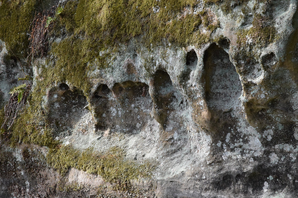 Honey Creek Honey Creek State Natural Area, Sauk County, W… Flickr