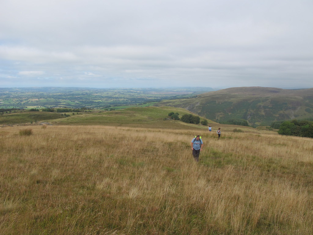 Cambrian MountainsThe only walk from the village?(T) Flickr