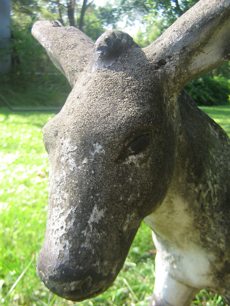 concrete donkey Benjamin Gray Flickr