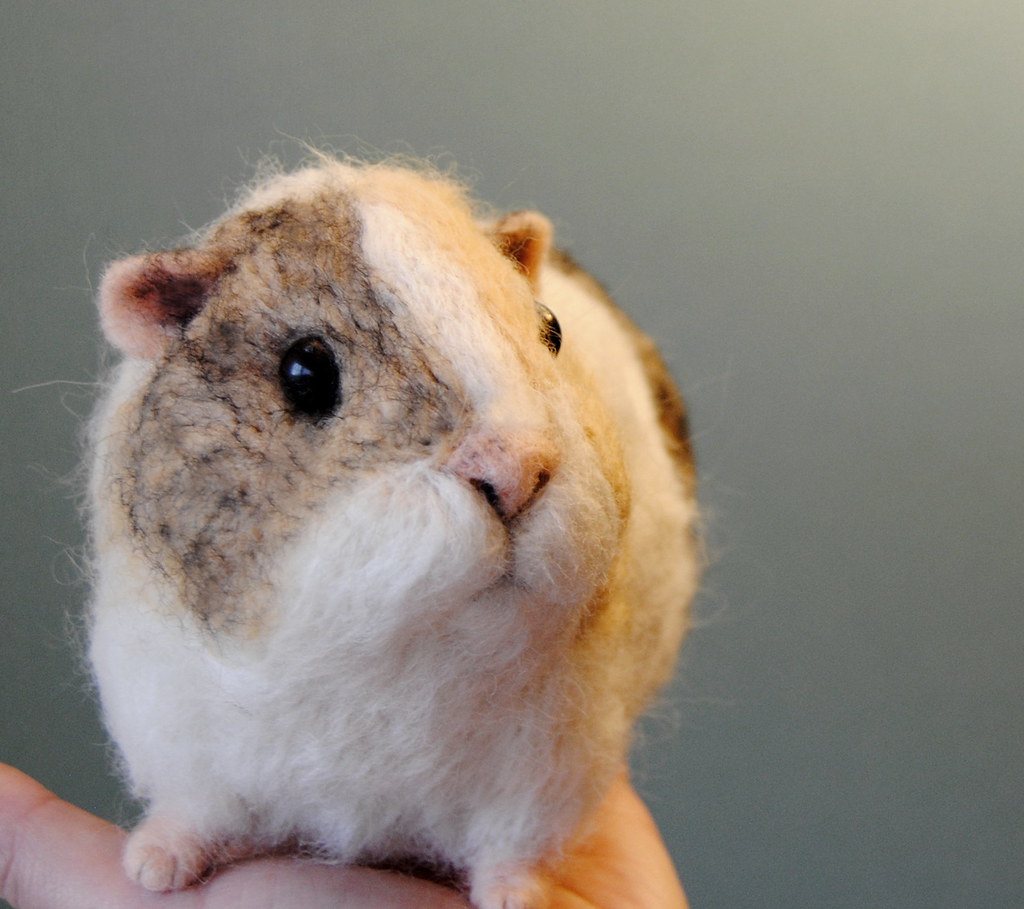Needle Felted Guinea Pig Flickr