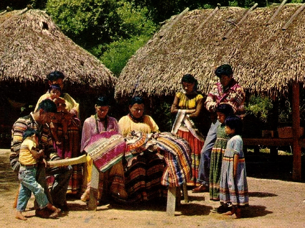 Florida Seminoles Postcard "Florida Seminoles" Circa 1960