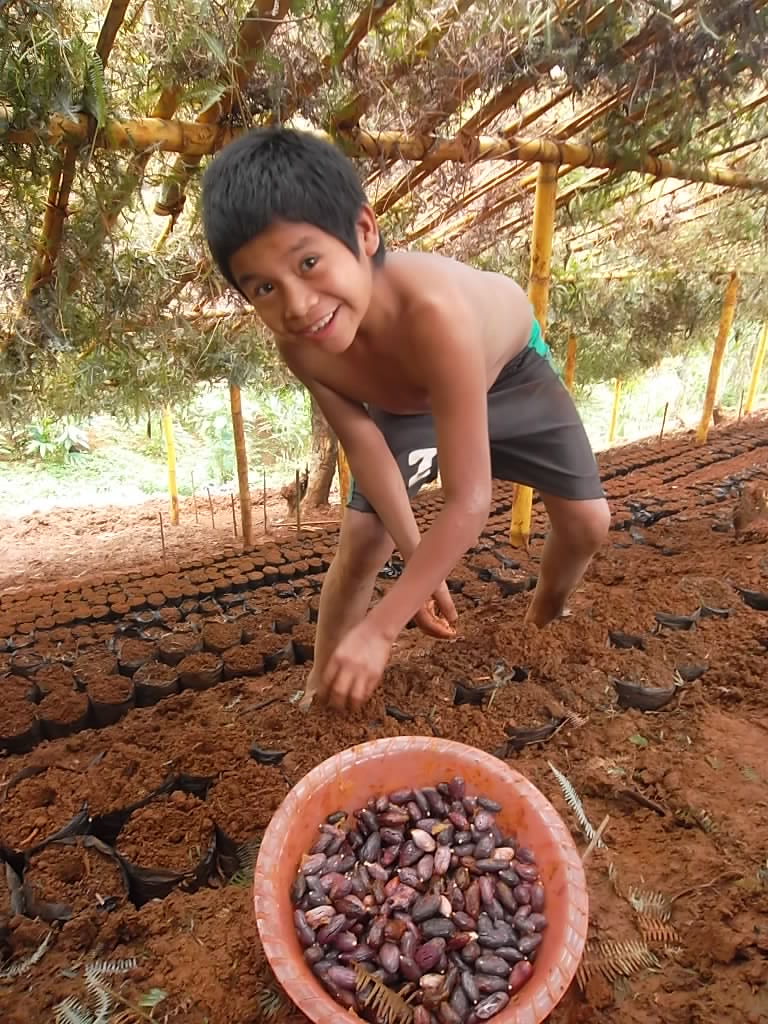 Reforestation Guatemala CHOICE Humanitarian Flickr