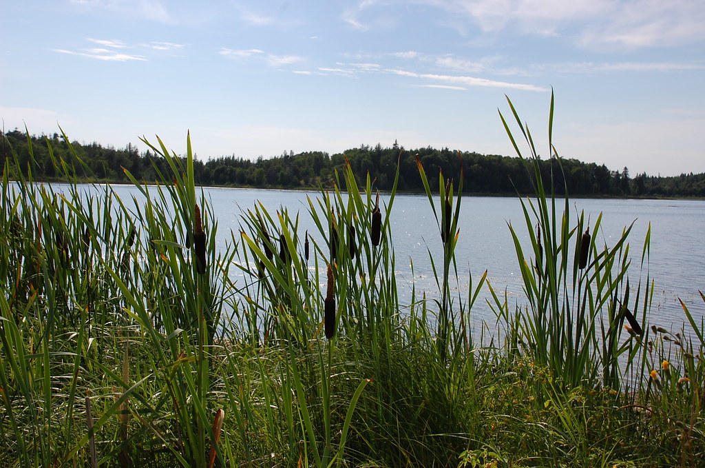 North Buck Lake PRA Alberta Parks Flickr
