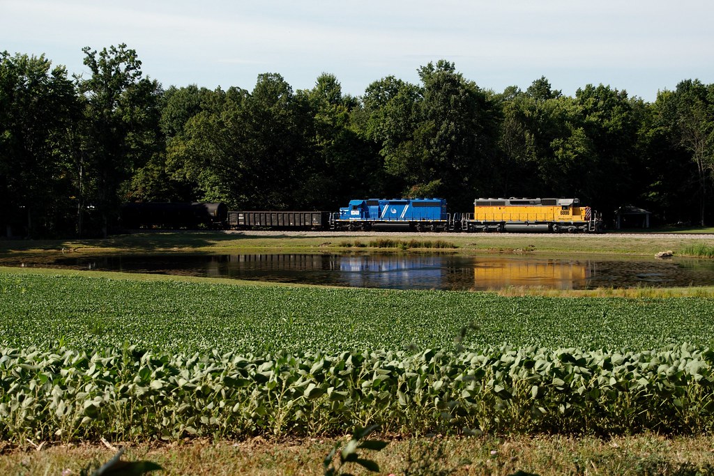 Elevation of Paint Township, OH, USA Topographic Map Altitude Map