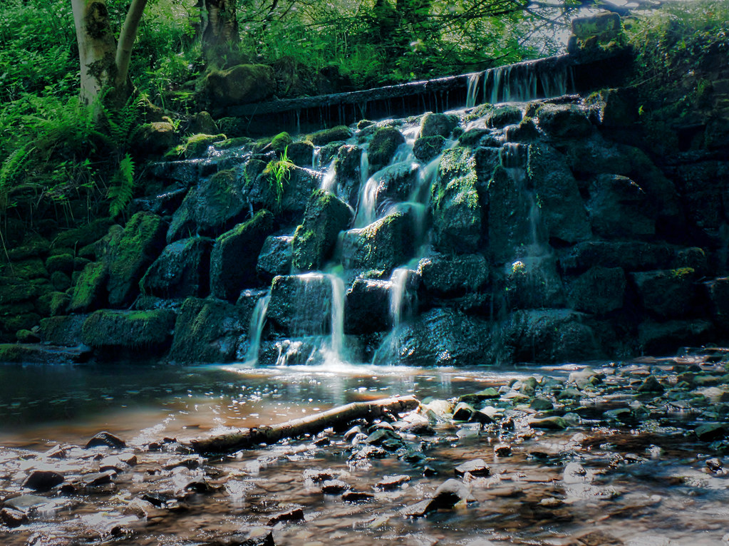 Sunnyhurst woods Darwen Samsung camera pictures Flickr