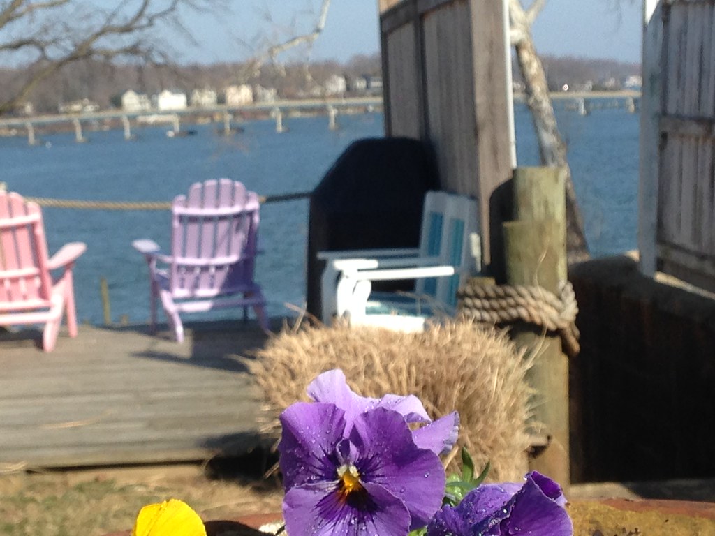 Riva Cottage Spring 2014 landscaping. Riva Cottage Flickr