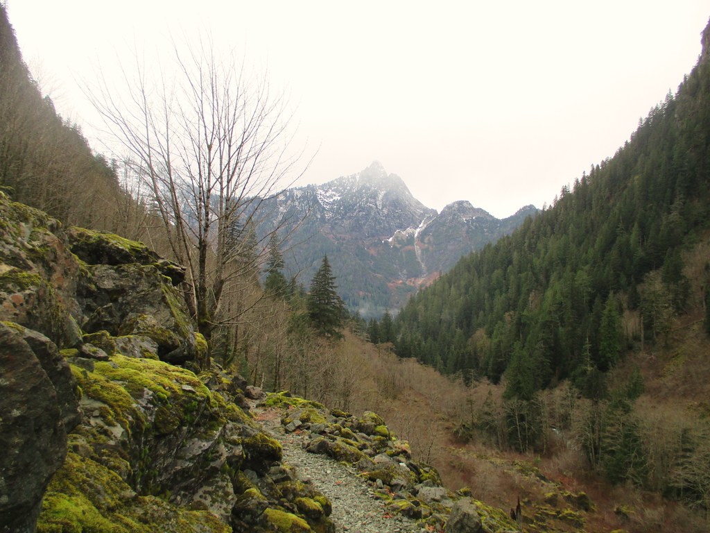 Perry Creek Trail/Mount Meadows 22 March 2015 Flickr