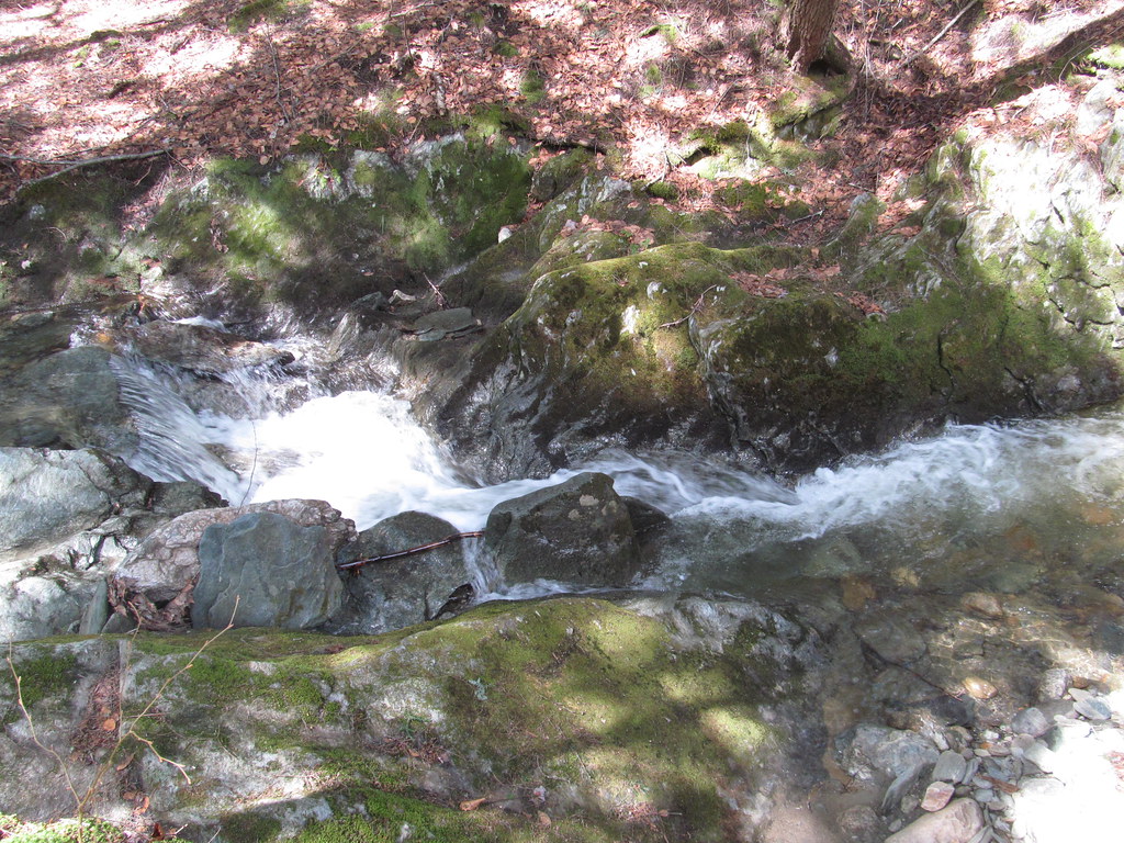 Savoy Mountain State Forest Savoy, Massachusetts Flickr