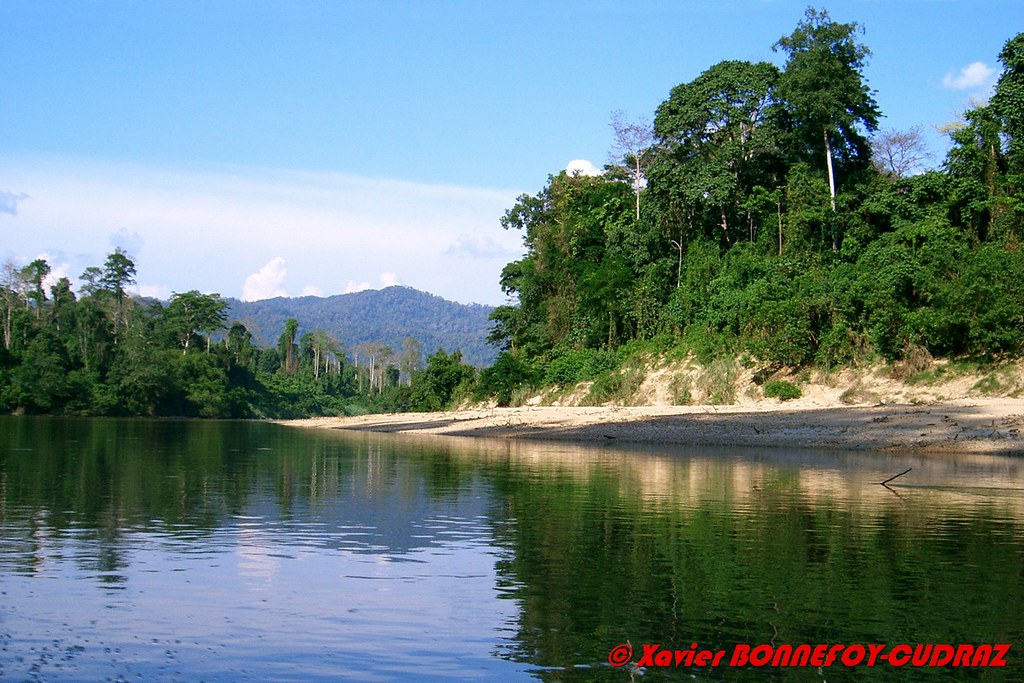 13.04.2005 Malaysia Taman Negara Sungai Tembeling