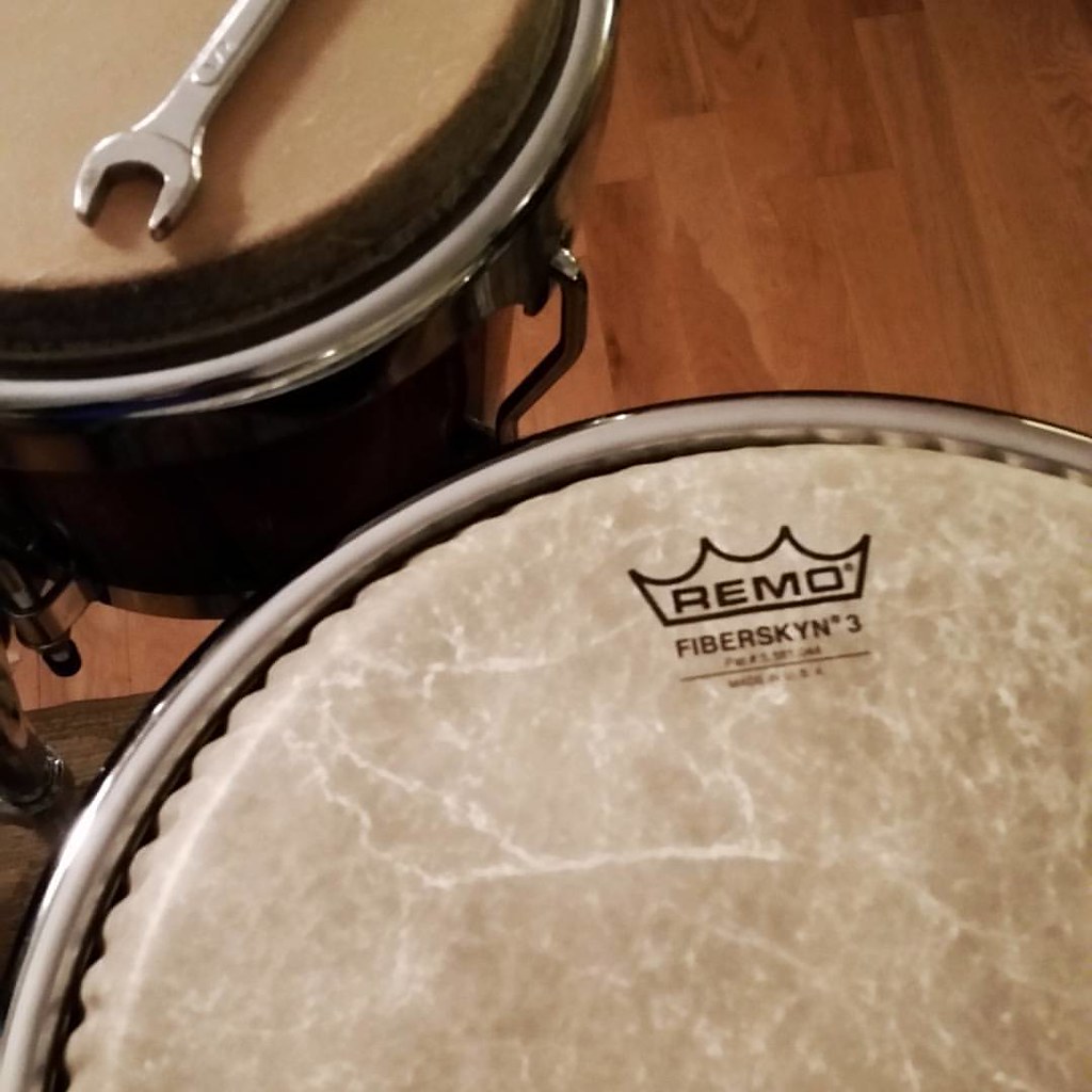 I got my first synthetic conga head. Anxiously awaiting th… Flickr