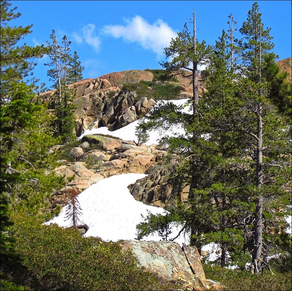 Plumas National Forest • 90 365 AzulBandit Flickr