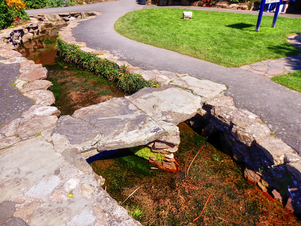 Runnymede Gardens, North Devon is a… Flickr