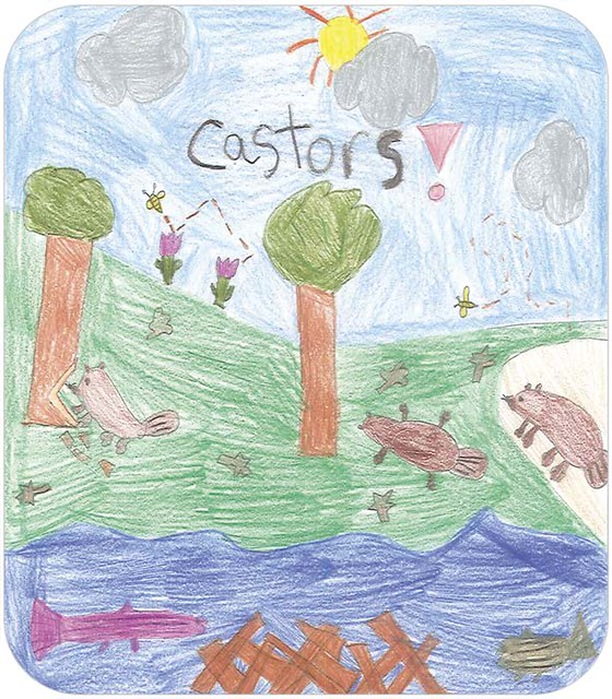Les castors constructeurs par Annabelle École Leventoux Flickr