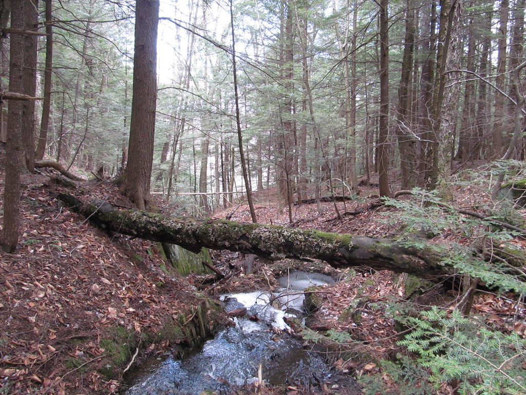 Savoy Mountain State Forest Savoy, Massachusetts Flickr