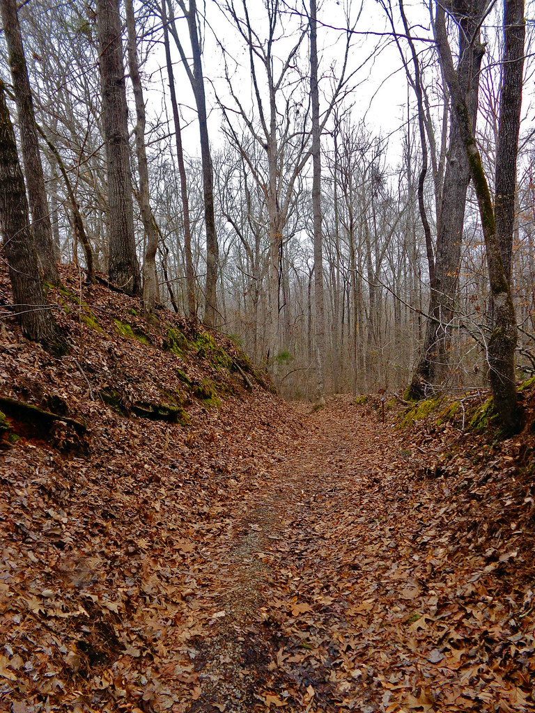 On the trail Dogwood Valley on the Natchez Trace. The Trac… Flickr