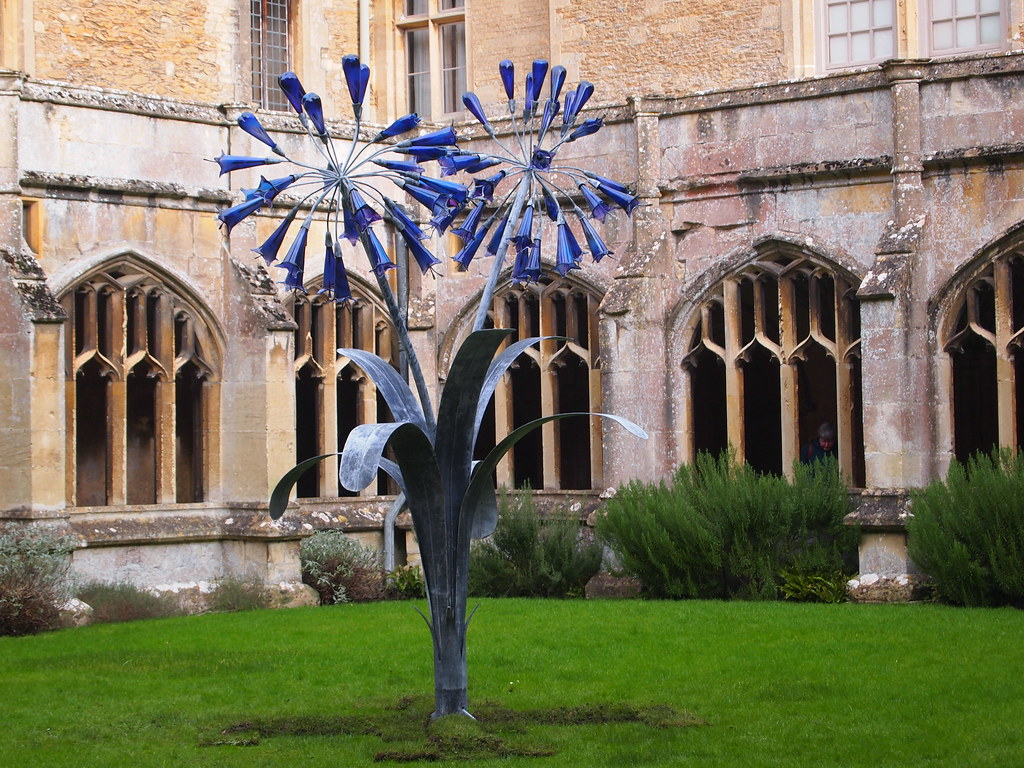 Ornamental growth? umbry101 Flickr