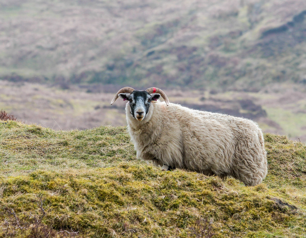 Muirkirk East Ayrshire Lovely Walks james bingham Flickr