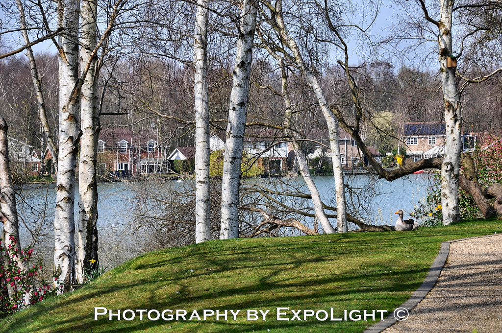 ExpoLightLincolnBirchwoodPenistoneLakeSpring2015 (Sample Proofs