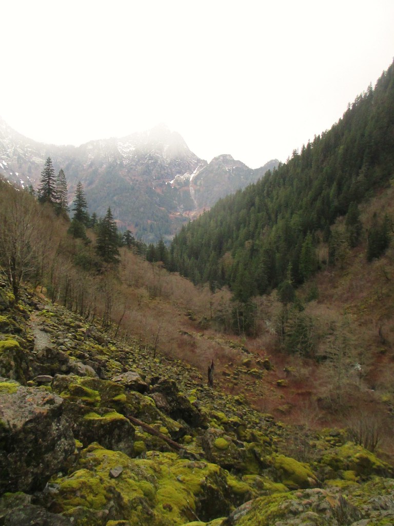 Perry Creek Trail/Mount Meadows 22 March 2015 Flickr