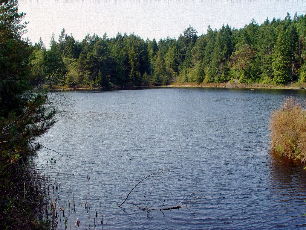 Lost Lake Trail 4 (of 23) Sony Cybershot DSC F717 Flickr