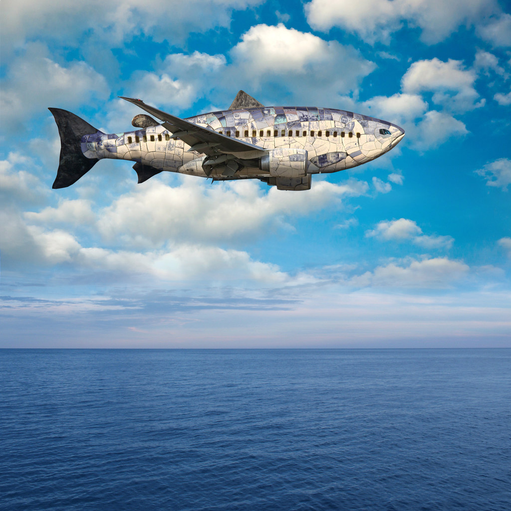 Flying Fish Airlines Thanks to the following for elements … Flickr