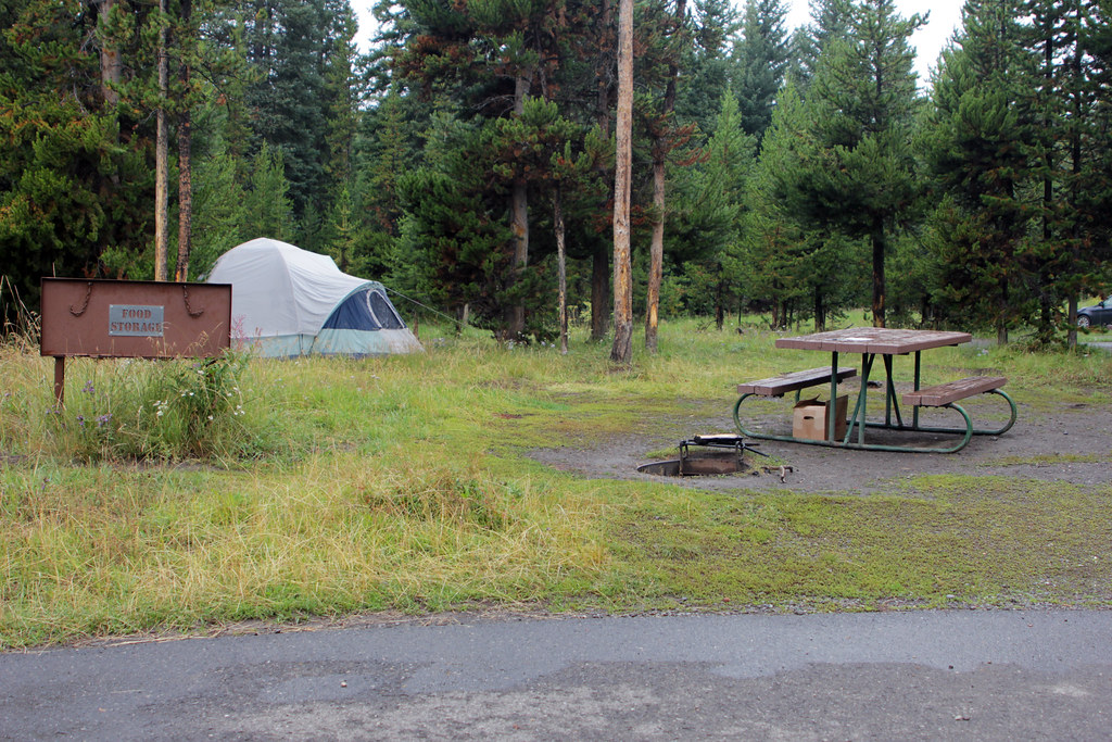 Bridge Bay Campground site Bridge Bay Campground site; Dia… Flickr