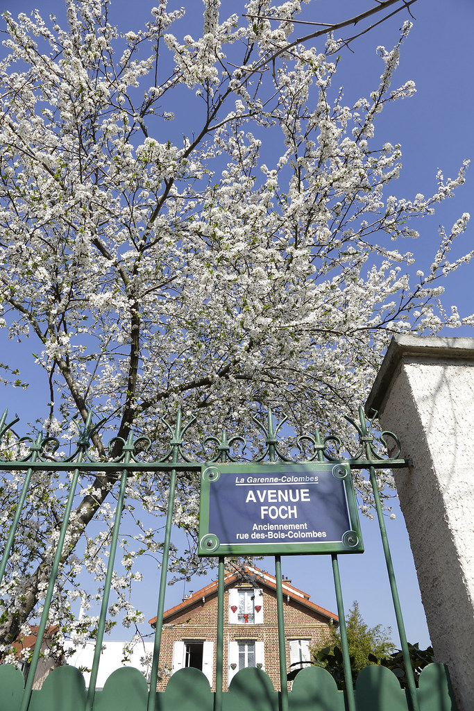 En fleur... Avenue Foch La GarenneColombes (92250) Photog… Flickr