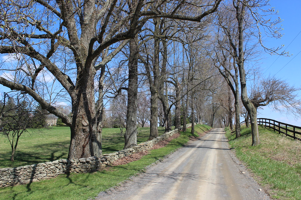 Cloverland on Old Carters Mill Road (The Plains, VA) Flickr