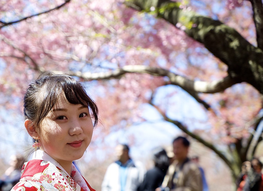 Cherry Blossom Festival Flickr