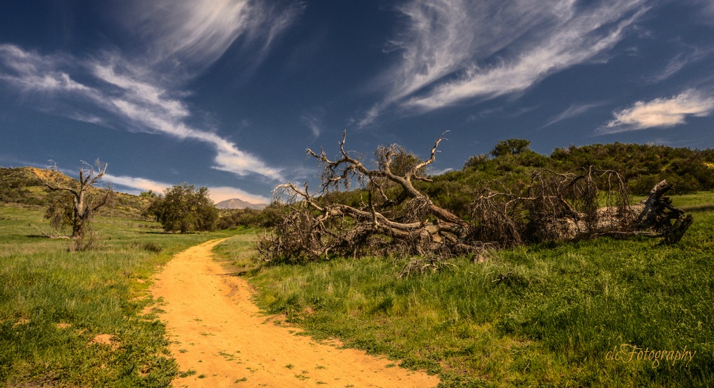 Where The Path Leads. Hiking Trail Oakmont Park, Redlands … Flickr