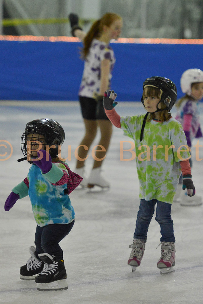 DSC_5855.jpg Arctic Edge Skate Club Show 2015 Arctic Edge Skate