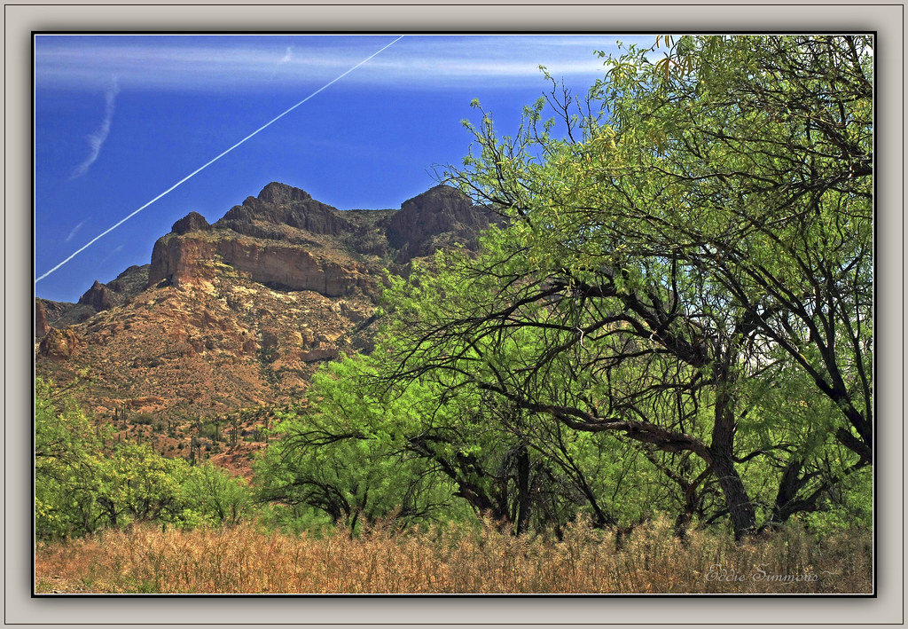 Picket Post Mountain In this shot, the trees were eye cat… Flickr
