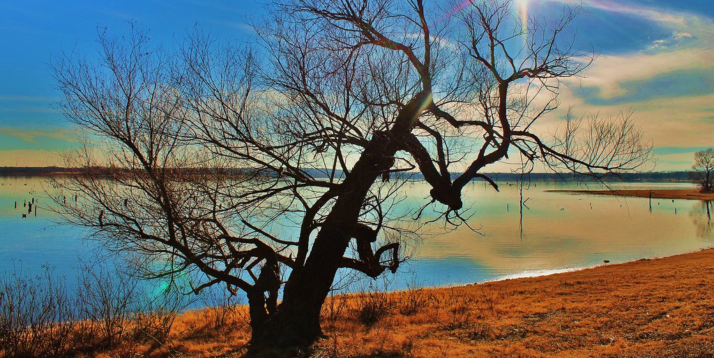 Benbrook Lake Trails 373 (3) Patrick D Wentworth Photography Flickr