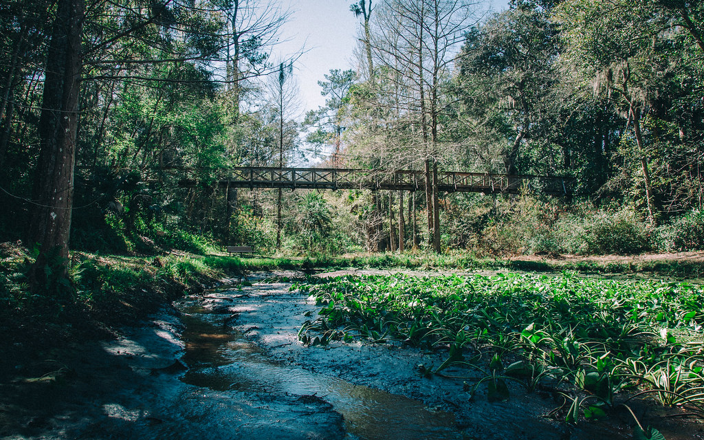 Ravine Gardens State Park Ravine Gardens is a state park l… Flickr