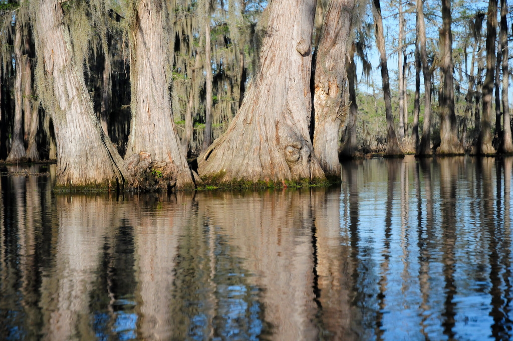 Clear Lake6398 Clear lake via kayak Michael McCarthy Flickr