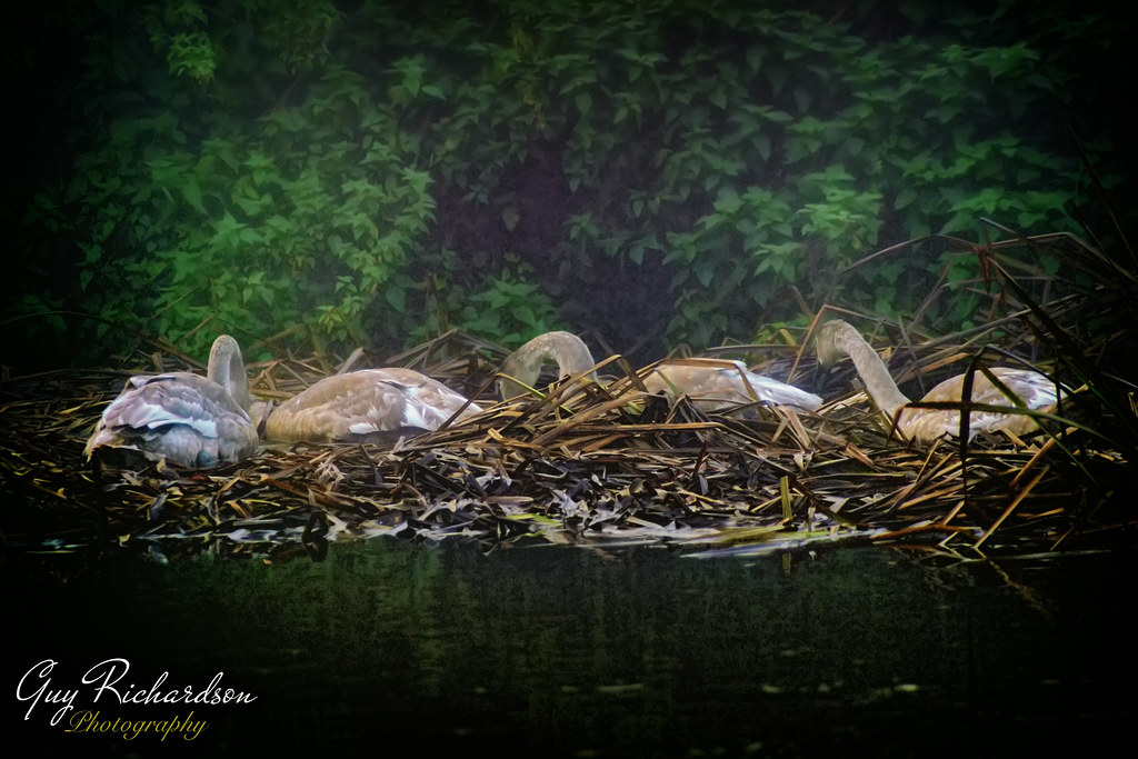 Barnburgh/Harlington Flickr