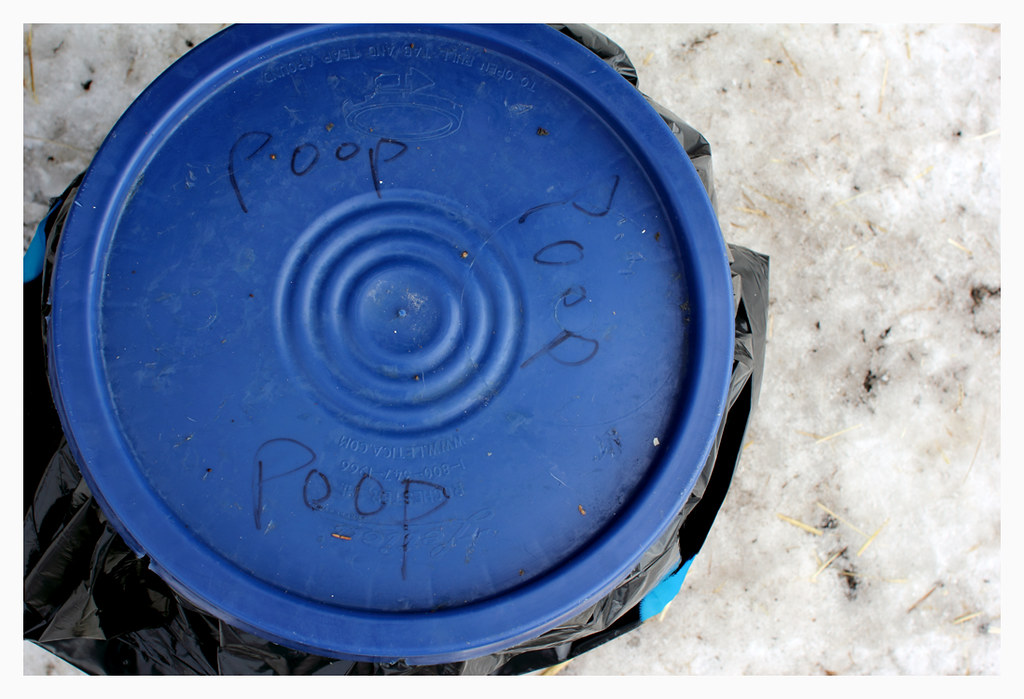 At the Races (15) Poop Bucket. Open North American Sled Do… Flickr