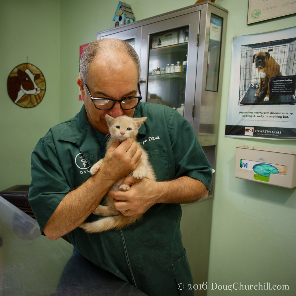 141•366 • 2016 • another 1st… …for Carl, his first vet vis… Flickr