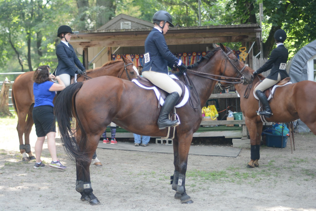 DSC_0064 Dapper Dan Farm Horse Show Rhode Island 0717201… Appy