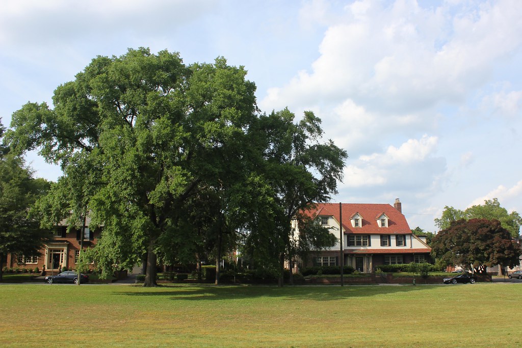Byrd Park Stately tree, stately house. Byrd Park, Richmond… Flickr