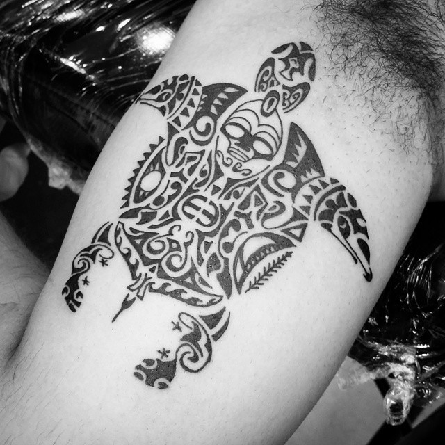 Jb Tartaruga Maori Do Meu Mano @Iohran - #Maori #Tartaruga… | Flickr 640_x_640_jpg