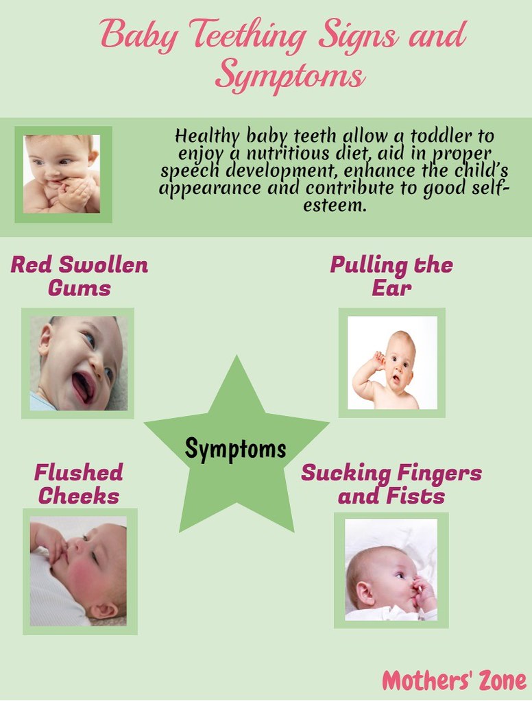 Baby Teething Signs and Symptoms Teething is an important … Flickr