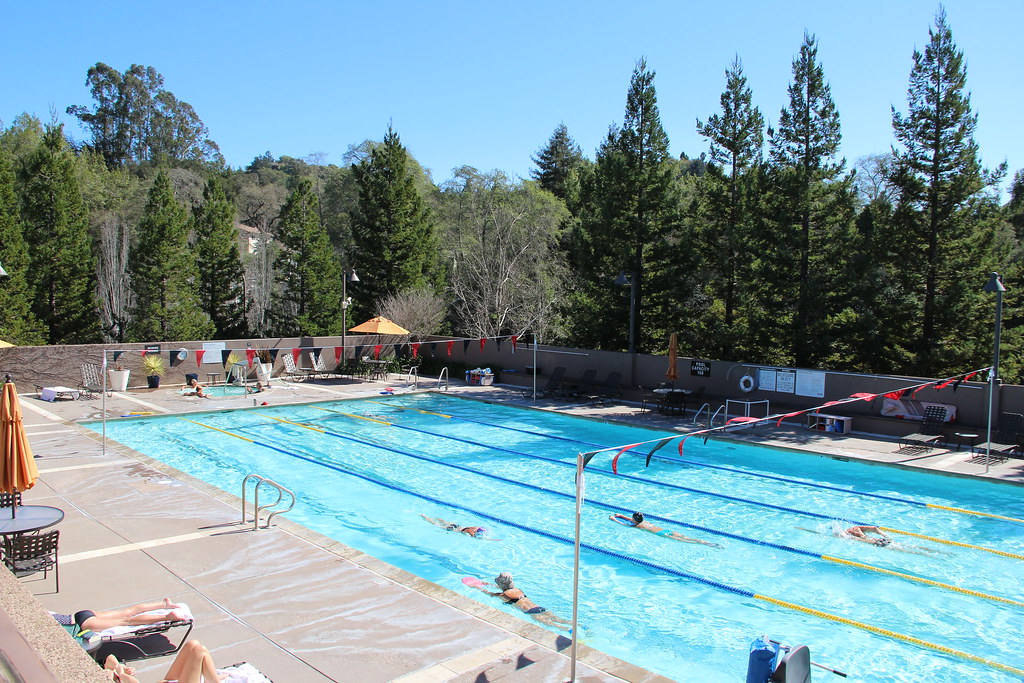 IMG_1805 Olympic swimming pool, Enterprise Tech Centre, Sc… Flickr