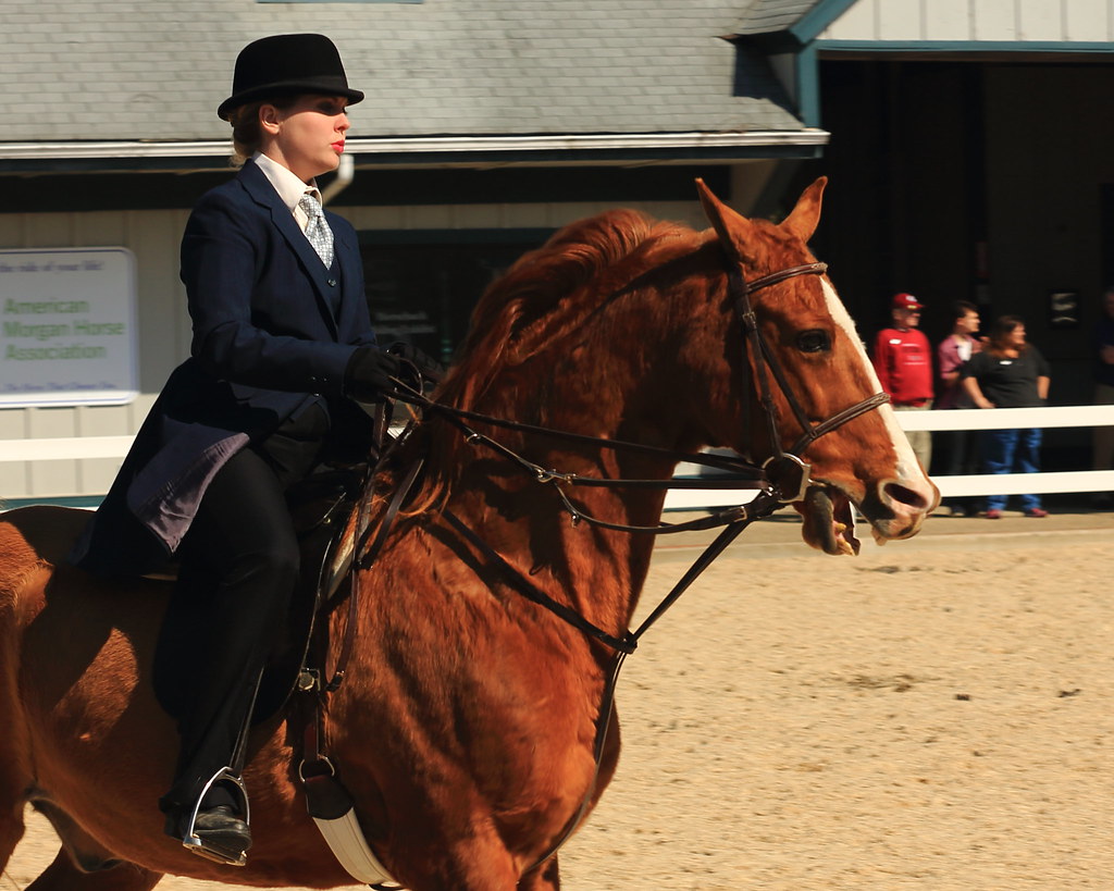 0306 Kentucky Horse Park, Lexington, KY An American Saddle… Flickr