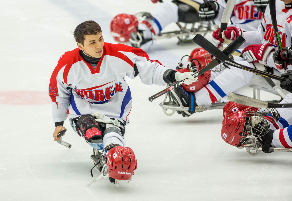 IPC Ice Sledge Hockey World Championships 2015 BPool_061 Flickr